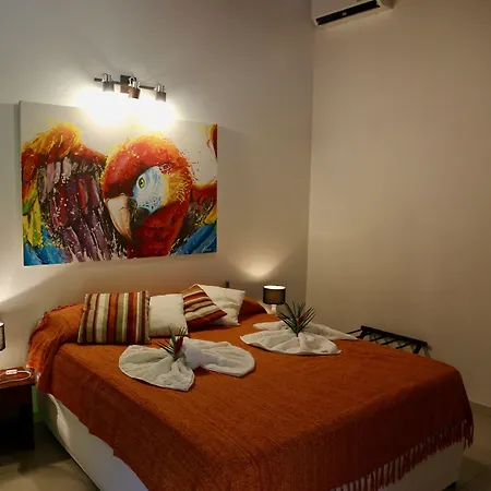 Pousada Oasis-2