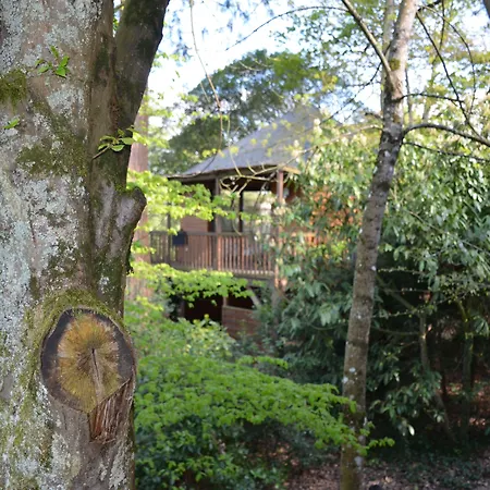 Manoir Du Parc (Adults Only)-2