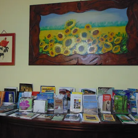 B&B Falcone-3