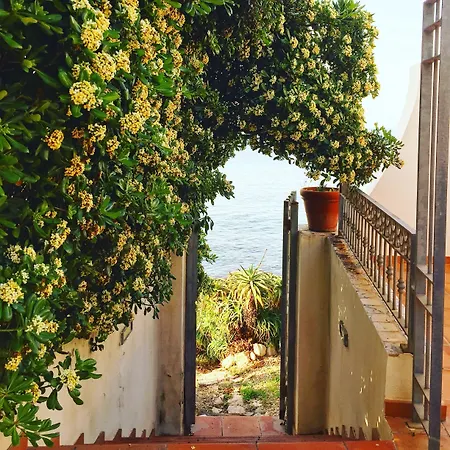 Villa Grachira-3