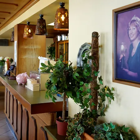 Hotel Haus Sonnschein-2
