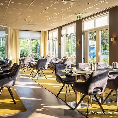 Hotel Molenbos Texel-3