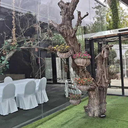 Hotel Olajauregi-3
