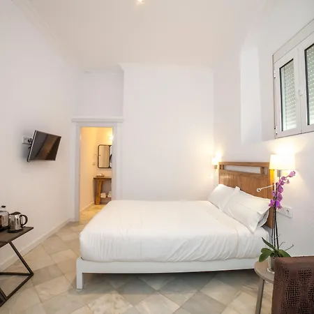 Apartahotel Siglo XIX-3