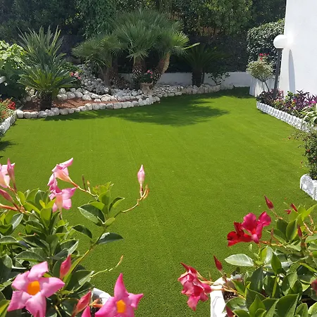 Hotel Le Palme-3