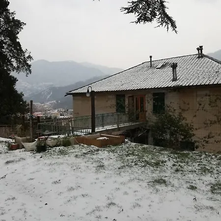B&B Il Cedro-3