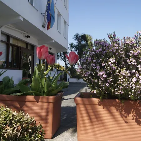 Hotel Los Laureles-2