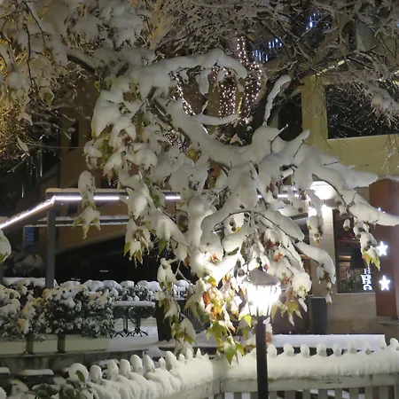 Hotel Villa Boyana - Free Parking-3