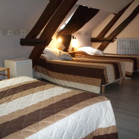 Hotel Du Cygne-2