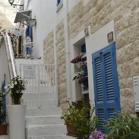 B&B Prestige-3