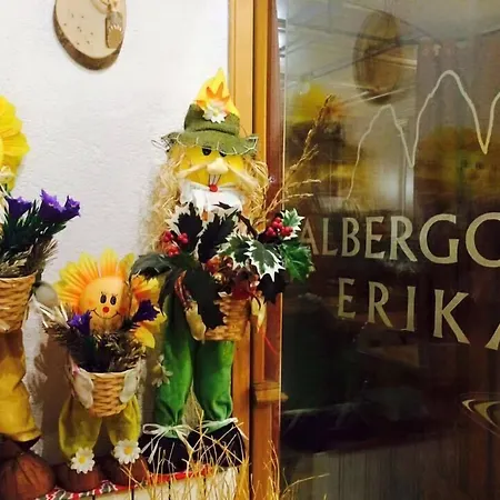 Albergo Erika-3