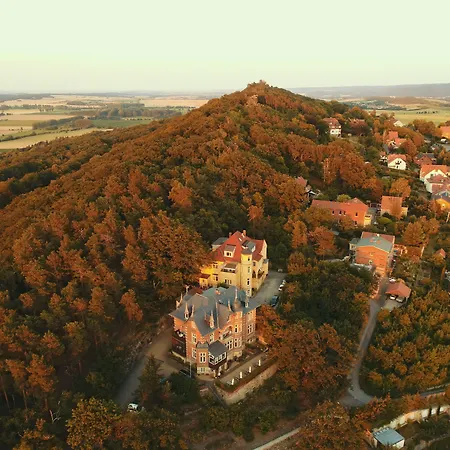 Hotel Villa Viktoria Luise-2