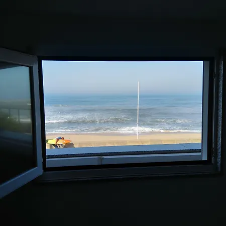 Mycasa-3