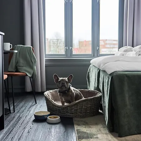 Hotel Filip-2