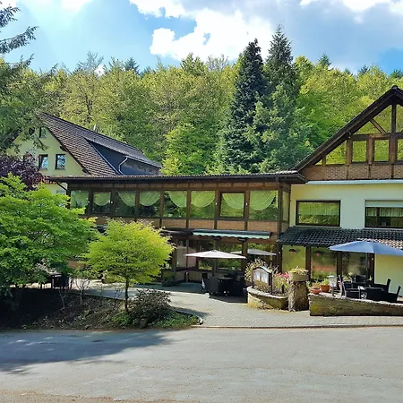 Siegerland-Hotel Haus im Walde-3