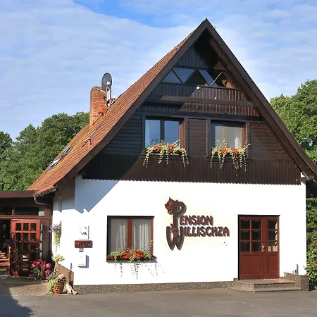 Pension Willischza-3