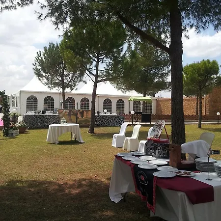 Hotel Viñedos y Bodegas El Castillo-3