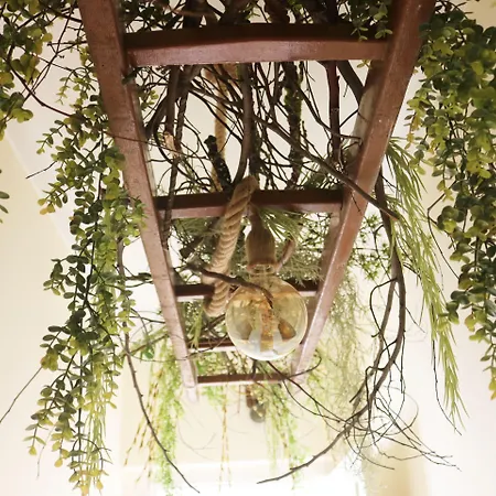 Green Element Guesthouse-2