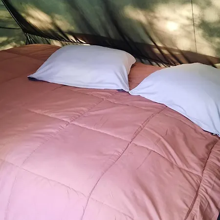 La Palmeraie-3