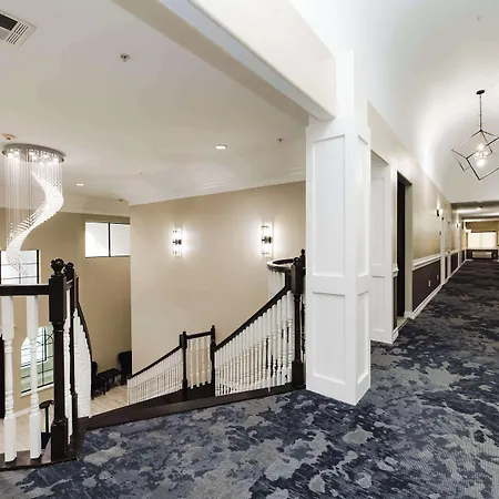 Surestay Studio By Best Western Conroe Downtown-2