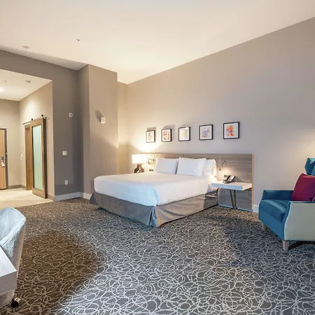 Hilton Garden Inn Wichita Downtown, Ks-2