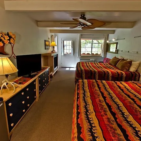 Hot Springs Inn-3