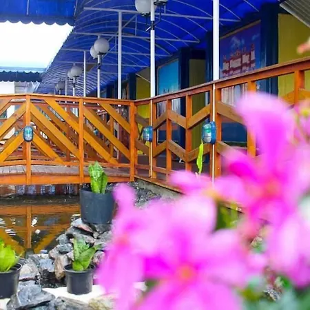 Eco Hotel-3