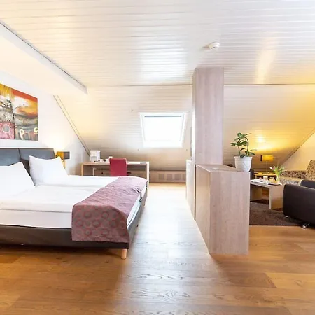 Hotel Alexander-3