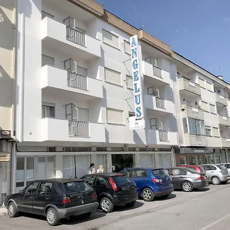 Angelus-2