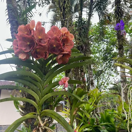 Hotel Fazendinha-3