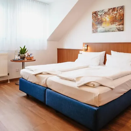 Hotel&Restaurant Goldener Pflug-3