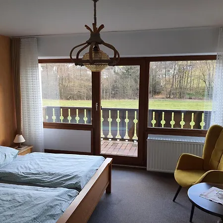 Pension-Gästehaus Waldhof-3