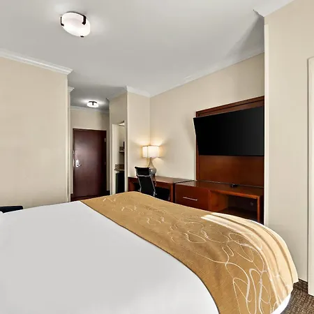 Comfort Suites Corpus Christi Central-2