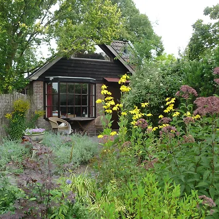 Selatuinen-3