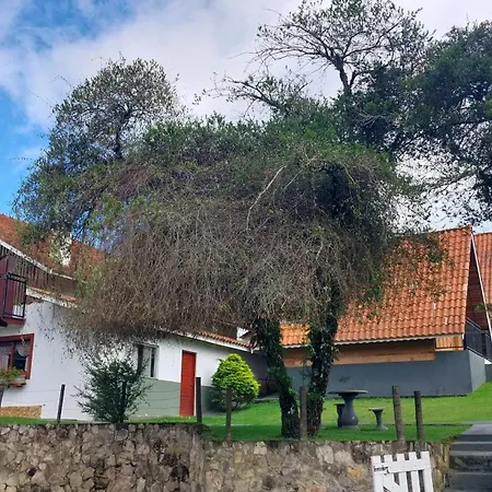 Pousada Pinho Verde-3