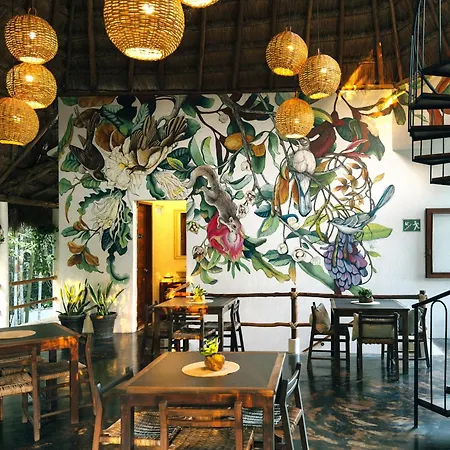 Hotel Aires Bacalar-3
