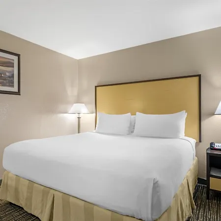 Best Western Petaluma Inn-3