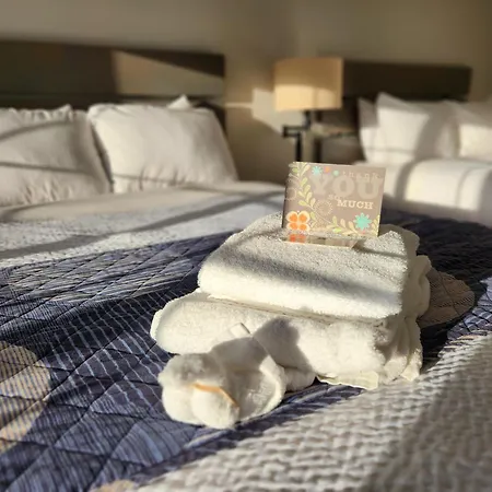 Brio Beach Inn-3