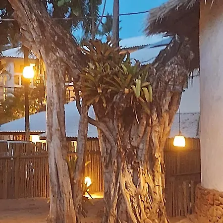 Pousada Farol das Tartarugas-2