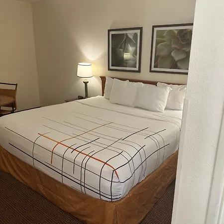 La Quinta Inn & Suites By Wyndham Sawgrass-2
