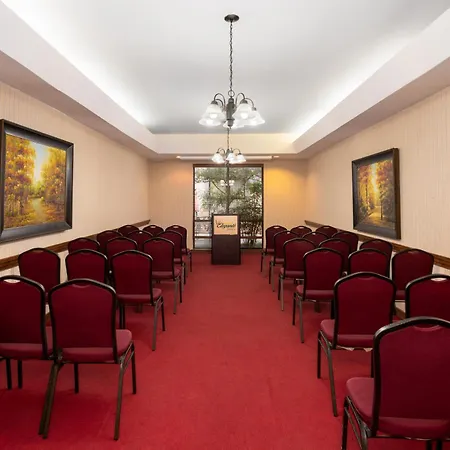 Mcm Elegante Suites Abilene-3