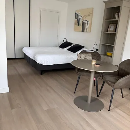 B&B Witvliet, kamers en studio met heerlijk ontbijt !-3