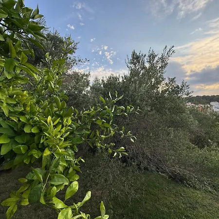Rose Rooms On The Island Of Rab-3