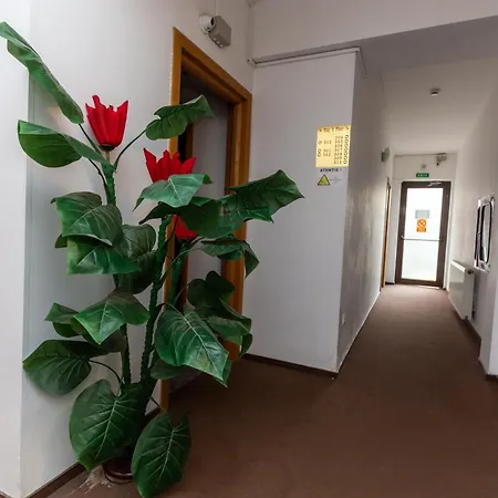 Hotel Sir Colentina-2
