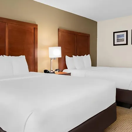 Comfort Inn & Suites Taylor - Detroit-3