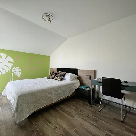 Leevin Stay Guesthouse-2