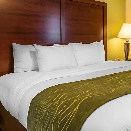 Quality Inn & Suites Zanesville City Center-3