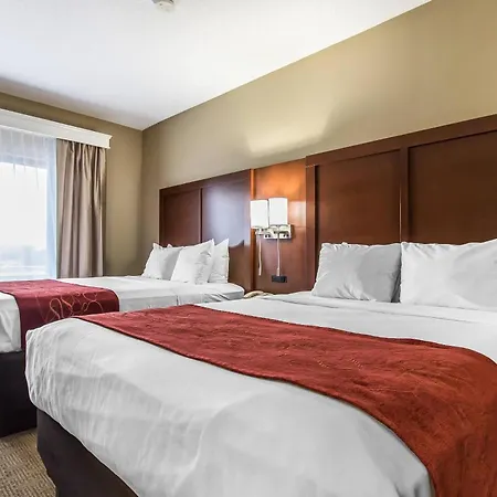Comfort Suites Effingham Central-2