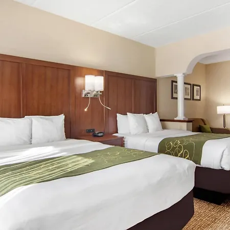 Comfort Suites Woodstock - Atlanta North-2