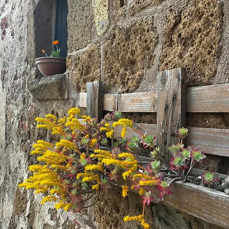 Notti Etrusche a Sovana-3